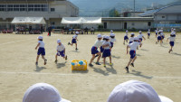 RIMG2348