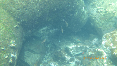 RIMG2424