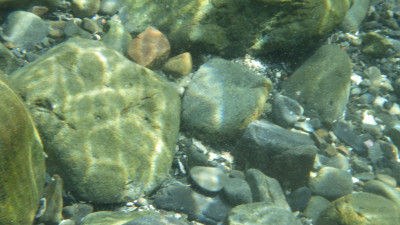 RIMG2598
